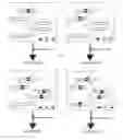 Fig. 01 - TOOLS AND METHODS FOR USING CELL DIVISION LOCI TO CONTROL PROLIFERATION OF CELLS