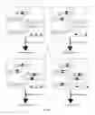 Fig. 02 - TOOLS AND METHODS FOR USING CELL DIVISION LOCI TO CONTROL PROLIFERATION OF CELLS
