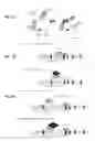 Fig. 04 - TOOLS AND METHODS FOR USING CELL DIVISION LOCI TO CONTROL PROLIFERATION OF CELLS