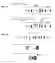 Fig. 05 - TOOLS AND METHODS FOR USING CELL DIVISION LOCI TO CONTROL PROLIFERATION OF CELLS