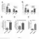 Fig. 05 - SITE-SPECIFIC INTEGRATING RECOMBINANT AAV VECTORS FOR GENE THERAPY AND IMPROVED PRODUCTION METHODS