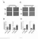 Fig. 06 - SITE-SPECIFIC INTEGRATING RECOMBINANT AAV VECTORS FOR GENE THERAPY AND IMPROVED PRODUCTION METHODS