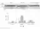 Fig. 08 - Methods and compositions for RNA-directed target DNA modification
