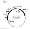 Fig. 02 - Method for Producing an Acidic Substance Having a Carboxyl Group