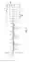 Fig. 02 - Microfluidic device for characterzing polynucleotides