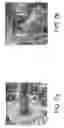 Fig. 08 - Method and apparatus of making pipes and panels using a treated fiber thread to weave, braid or spin products