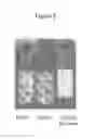 Fig. 03 - STABLE AND HOMOGENOUS ANTHRAQUINONE COMPOSITIONS AND PREPARATIONS THEREOF