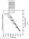 Fig. 08 - Hopper spreader with back EMF control and hopper system speed control