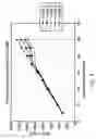 Fig. 09 - Hopper spreader with back EMF control and hopper system speed control