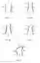 Fig. 07 - Aquatic curtain device and uses thereof