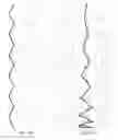 Fig. 43 - Gravity-Derived Structure For Optimal Response To Gravitational Forces