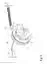 Fig. 04 - Dishwasher door with counterbalance assembly