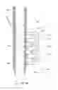 Fig. 15 - Adjustable ladders, ladder components and related methods
