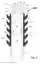 Fig. 05 - WELLBORE PLUG STRUCTURE AND METHOD FOR PRESSURE TESTING A WELLBORE