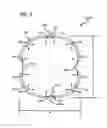 Fig. 05 - Port edge shape with continuous curvature for improved ring-port interaction and flow area