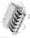 Fig. 33 - Linear pelton turbine