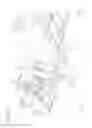 Fig. 12 - Motorcycle