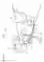 Fig. 15 - Motorcycle
