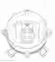 Fig. 01 - Bi-optic headlight assembly and lens of bi-optic headlight assembly