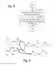 Fig. 09 - Coherence range imaging using common path interference