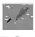 Fig. 07 - Determining a location and size of a gas source with a spectrometer gas monitor