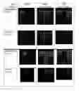 Fig. 01 - Microarray slides that enhance fluorescent signals via plasmonic interaction