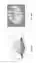 Fig. 09 - SYSTEM AND METHOD FOR THREE-DIMENSIONAL MICRO PARTICLE TRACKING