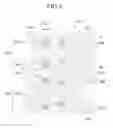 Fig. 06 - Liquid crystal display