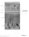 Fig. 15 - Fabrication of electrochromic devices
