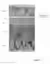 Fig. 16 - Fabrication of electrochromic devices