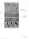 Fig. 19 - Fabrication of electrochromic devices