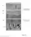 Fig. 20 - Fabrication of electrochromic devices