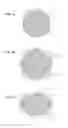 Fig. 02 - Dual exposure patterning of a photomask to print a contact, a via or curvilinear shape on an integrated circuit
