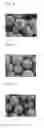 Fig. 07 - Carrier core material and electrophotographic development carrier using same and electrophotographic developer