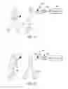 Fig. 07 - USER-INPUT CONTROL DEVICE TOGGLED MOTION TRACKING