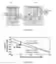 Fig. 06 - System and method for 3D position and gesture sensing of human hand