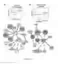 Fig. 12 - Pathway analysis computing system and method