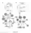 Fig. 34 - Pathway analysis computing system and method