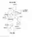 Fig. 47 - Patient-specific cellular pathway activity inference computer system