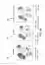 Fig. 09 - ANALYZING HIGH DIMENSIONAL SINGLE CELL DATA USING THE T-DISTRIBUTED STOCHASTIC NEIGHBOR EMBEDDING ALGORITHM