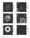 Fig. 06 - Image-based tube slot circle detection for a vision system