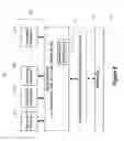 Fig. 09 - Virtual music experiences