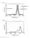 Fig. 07 - Process for manufacturing agglomerated particles of tantalum, mixed tantalum powder and process for manufacturing same, tantalum pellet and process for manufacturing same, and capacitor