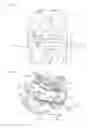 Fig. 06 - Coil terminal and electromagnetic relay provided therewith