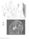 Fig. 25 - Spectrometric analysis
