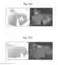 Fig. 29 - Spectrometric analysis