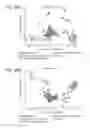 Fig. 30 - Spectrometric analysis
