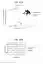 Fig. 39 - Spectrometric analysis