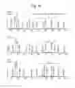 Fig. 42 - Spectrometric analysis