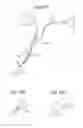 Fig. 59 - Spectrometric analysis